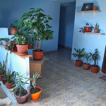 Casa Ana Hotel Букурещ Екстериор снимка