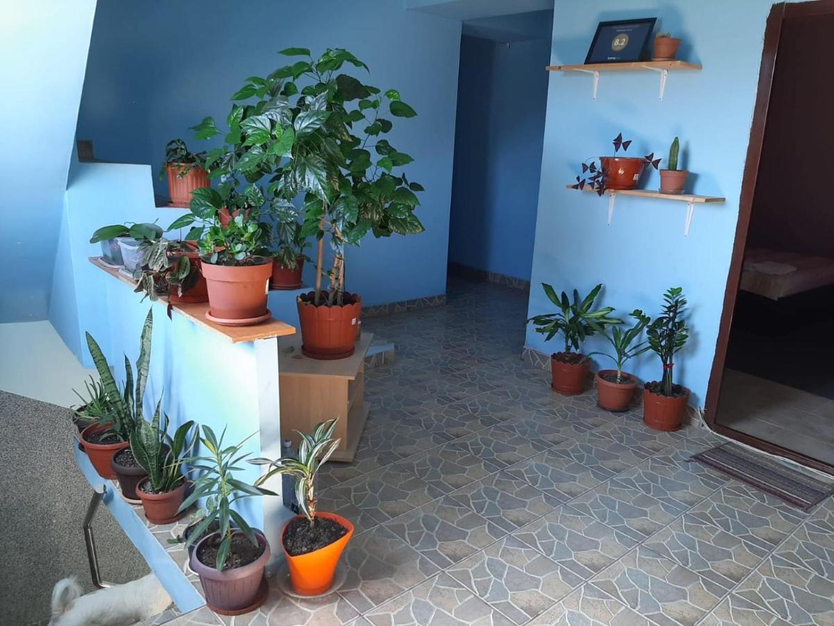 Casa Ana Hotel Букурещ Екстериор снимка